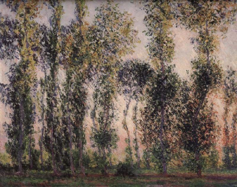 Claude Monet Poplars at Giverny